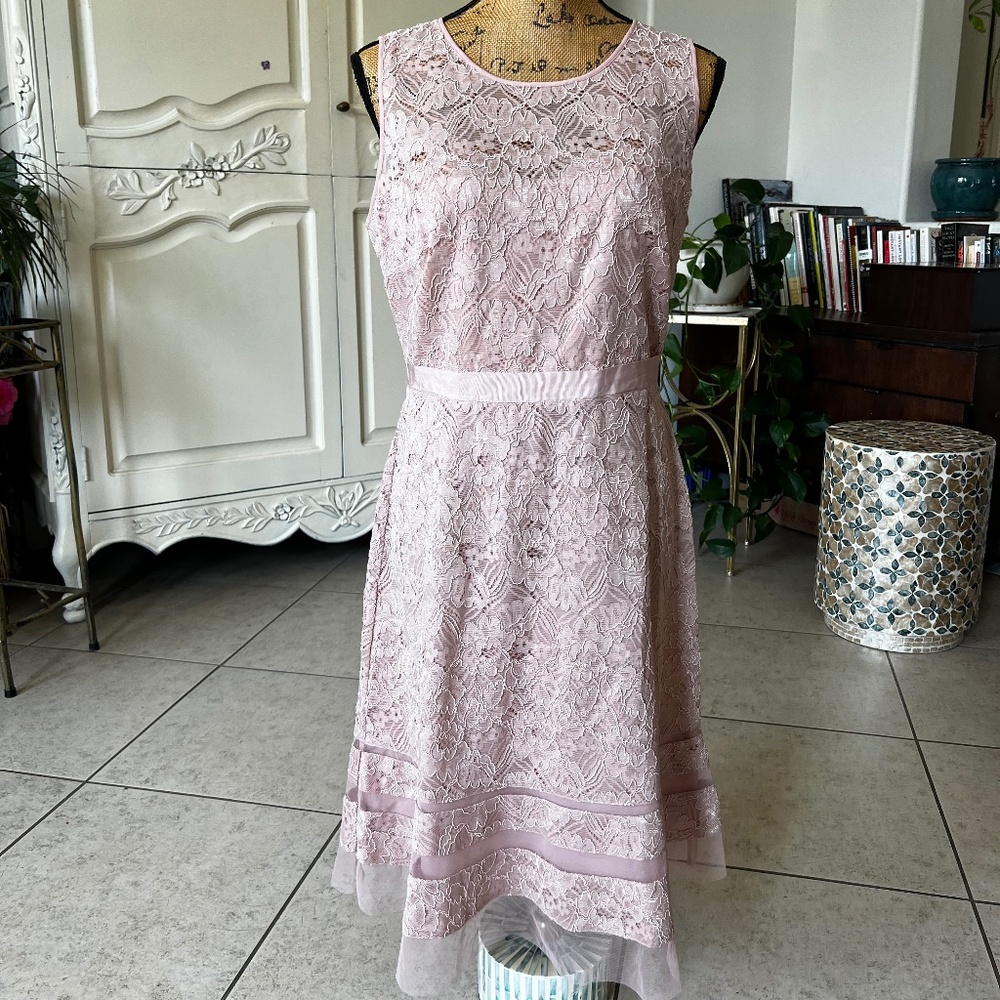 BCBG MAXAZRIA Elaina Blush dress